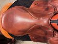 IMG_0327.jpeg