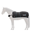 389001-L_15.png