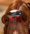 388001_16_product_01_1920x1920.jpg