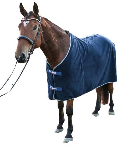 Derka polar lux 1.png