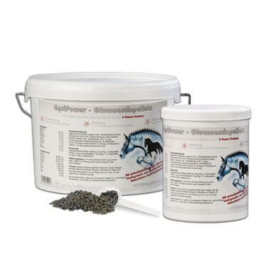 glucosaminpellets.jpg