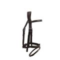 flash-origin-bridle.jpg