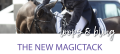 MT browband.png