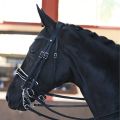 origine-dressage-double-bridle.jpg