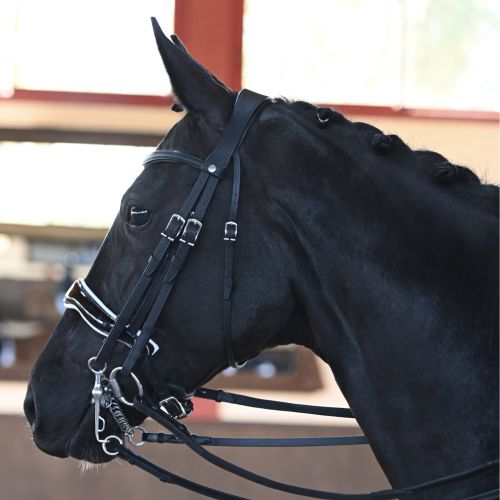 origine-dressage-double-bridle.jpg