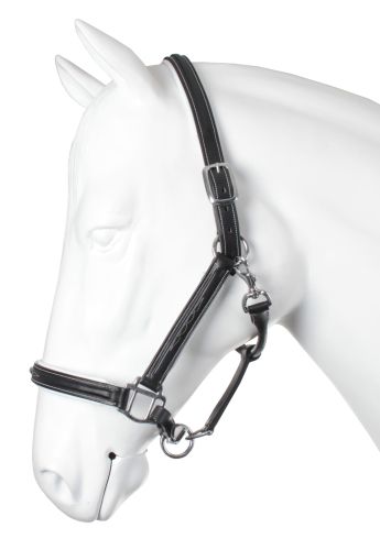 HALTER LEATHER LORD.jpg