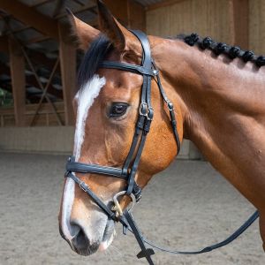 Ogłowie  Flash Origin Noseband BLACK