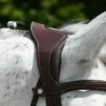 precision-anatomic-comfort-bridle (1).webp