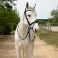 precision-anatomic-comfort-bridle (2).webp