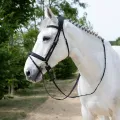 precision-anatomic-comfort-bridle (3).webp
