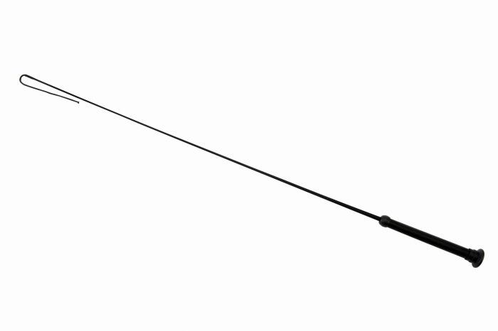 bat 590543.jpg