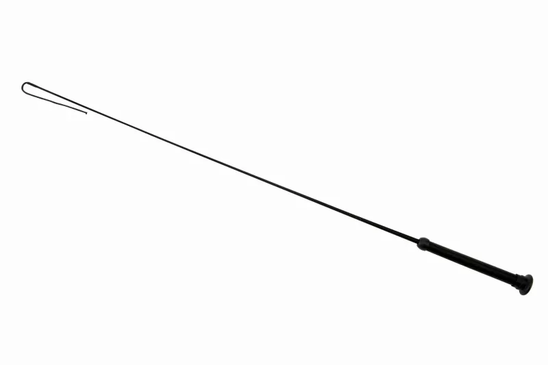 bat 590543.jpg