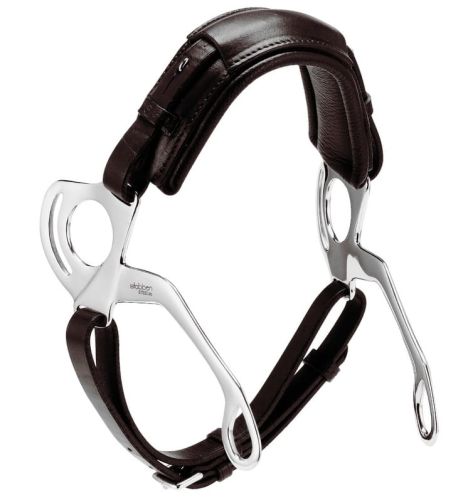 HACKAMORE2294b.jpg