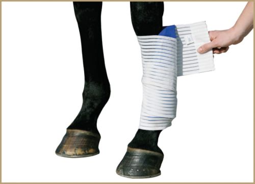 1005664-Kryo-Kompakt-Horse-elastic-bandage.jpg